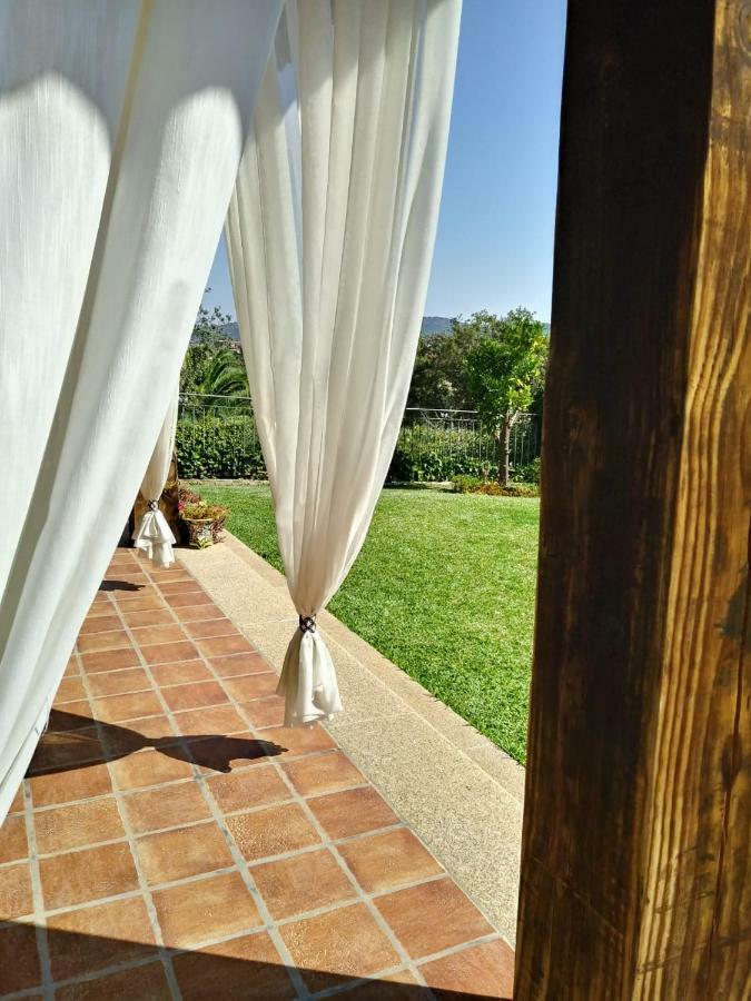 Jardin De La Yedra Guest House Caceres Luaran gambar