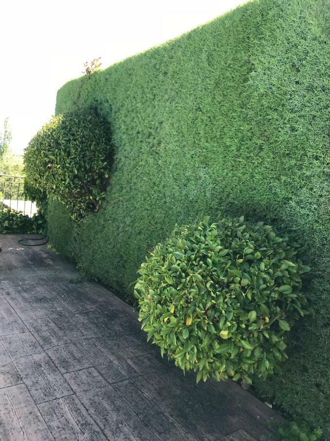 Jardin De La Yedra Guest House Caceres Luaran gambar