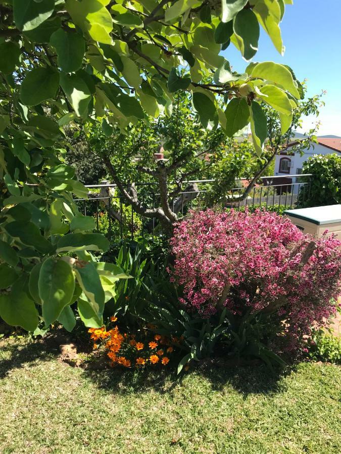 Jardin De La Yedra Guest House Caceres Luaran gambar